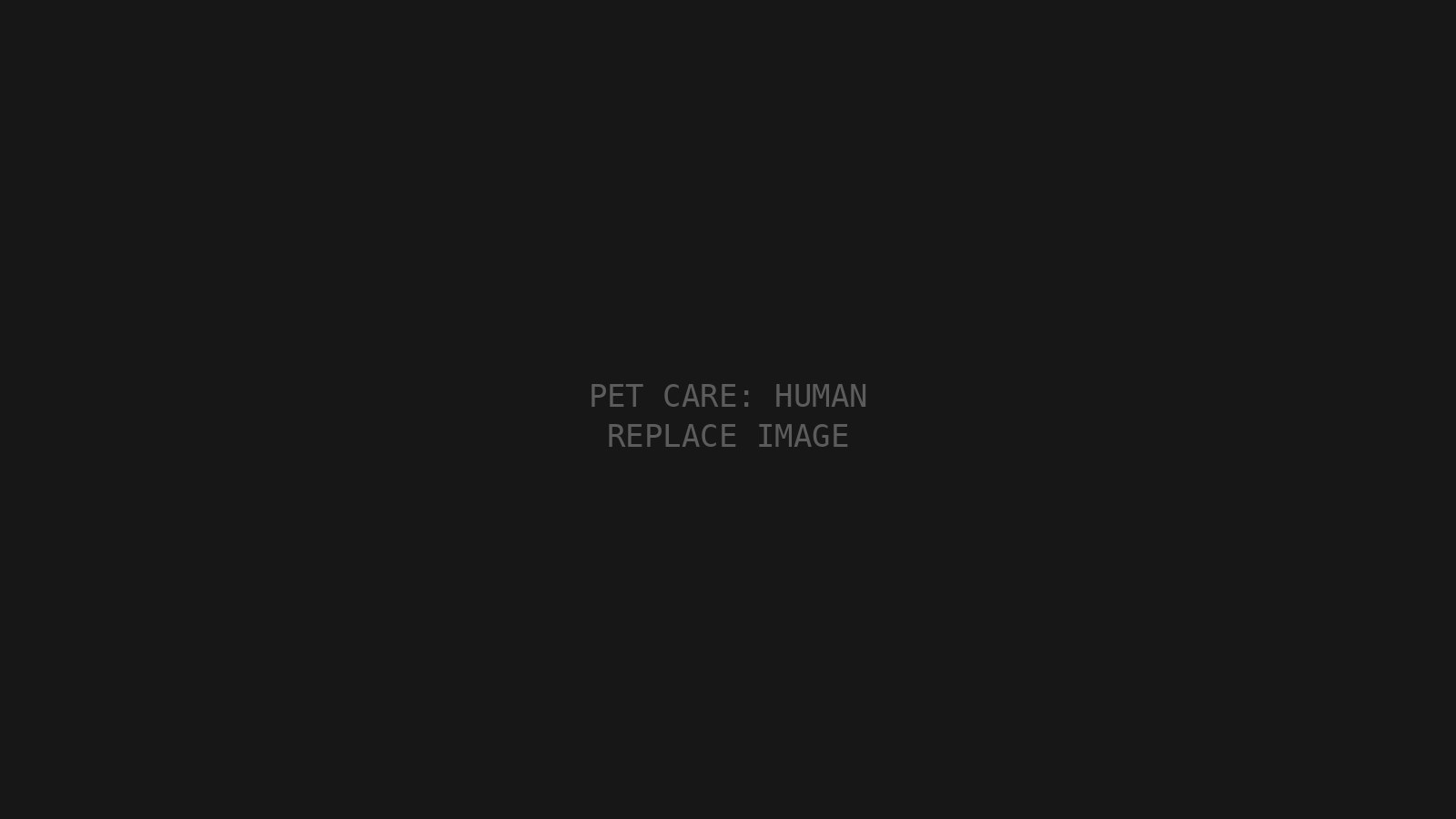 Pet Care: Human hero placeholder